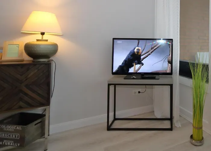 Widlak Апартаменты Вестерланд